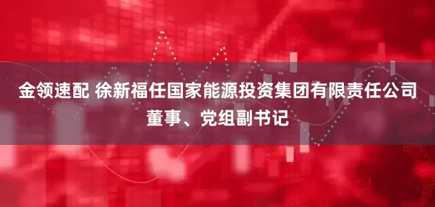 金领速配 徐新福任国家能源投资集团有限责任公司董事、党组副书记