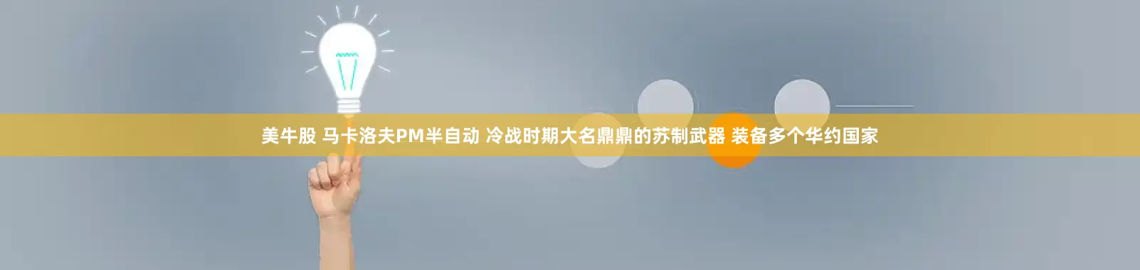 美牛股 马卡洛夫PM半自动 冷战时期大名鼎鼎的苏制武器 装备多个华约国家