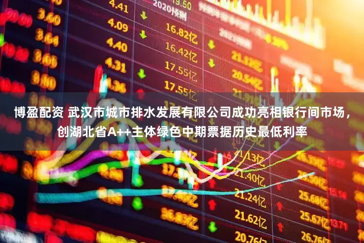 博盈配资 武汉市城市排水发展有限公司成功亮相银行间市场，创湖北省A++主体绿色中期票据历史最低利率